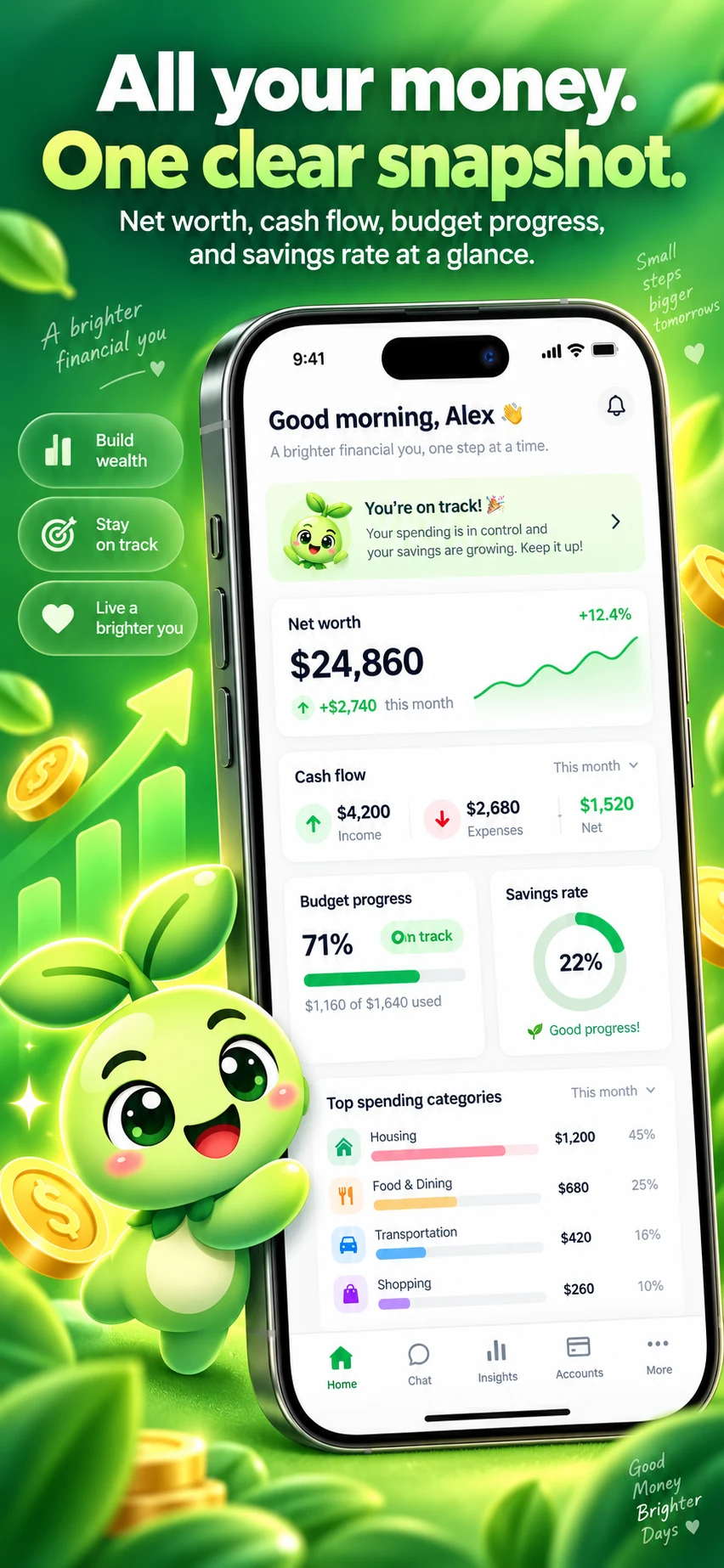 iPhone: All your money. One clear snapshot.